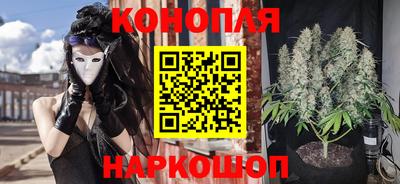прущие грибы Тверь