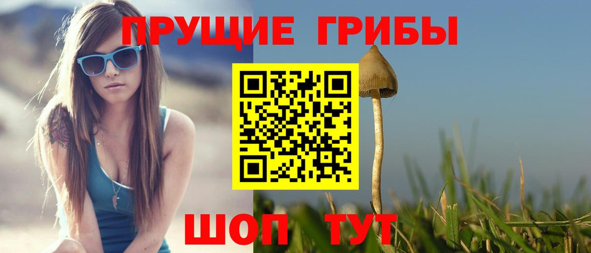 Псилоцибиновые грибы MAGIC MUSHROOMS  Псилоцибиновые грибы прущие грибы  Белгород  Вход с VPN 
